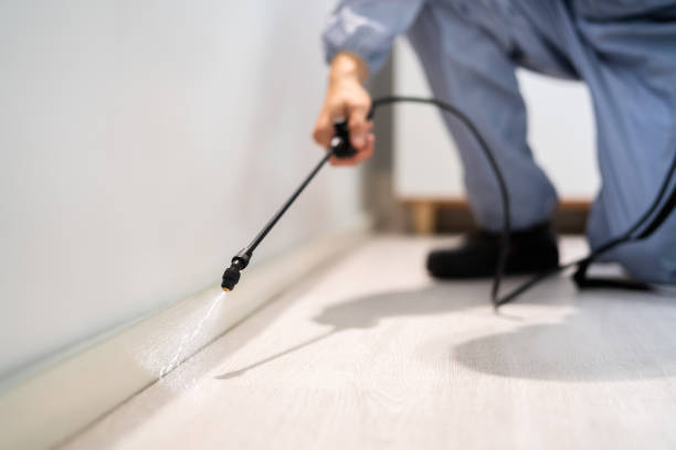 Licensed Pest Control service in Malmstrom AFB, MT - Show Me Pest Control