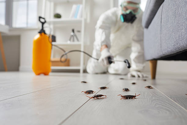 Commercial Kitchen Cockroach Control in Malmstrom AFB