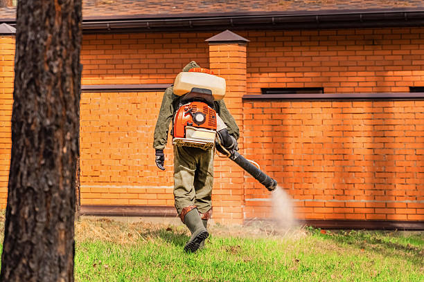 Cockroach Follow-Up and Monitoring in Malmstrom AFB